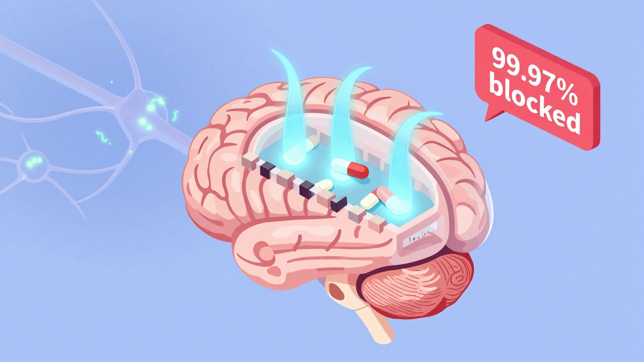 GABA Supplements and Sedatives: Do They Really Cause Additive CNS Depression?